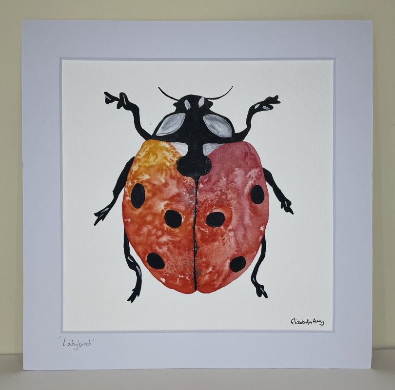 Ladybird Original Watercolour Painting Illustration